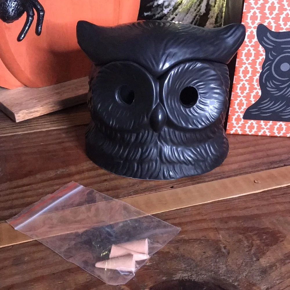 Crate&Barrel X PATCH NYC Collaboration Whimsical Black Owl Incense Burner 🦉